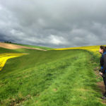 Filey to North Grimston Filey to North Grimston Thumbnail