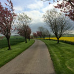 North Grimston to Goodmanham North Grimston to Goodmanham Thumbnail