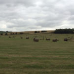 Barnetby le Wold to Tealby Barnetby le Wold to Tealby Thumbnail