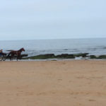 Newcastle to Whitley Bay Newcastle to Whitley Bay Thumbnail