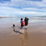 Middle Stobswood to Warkworth Middle Stobswood to Warkworth Thumbnail